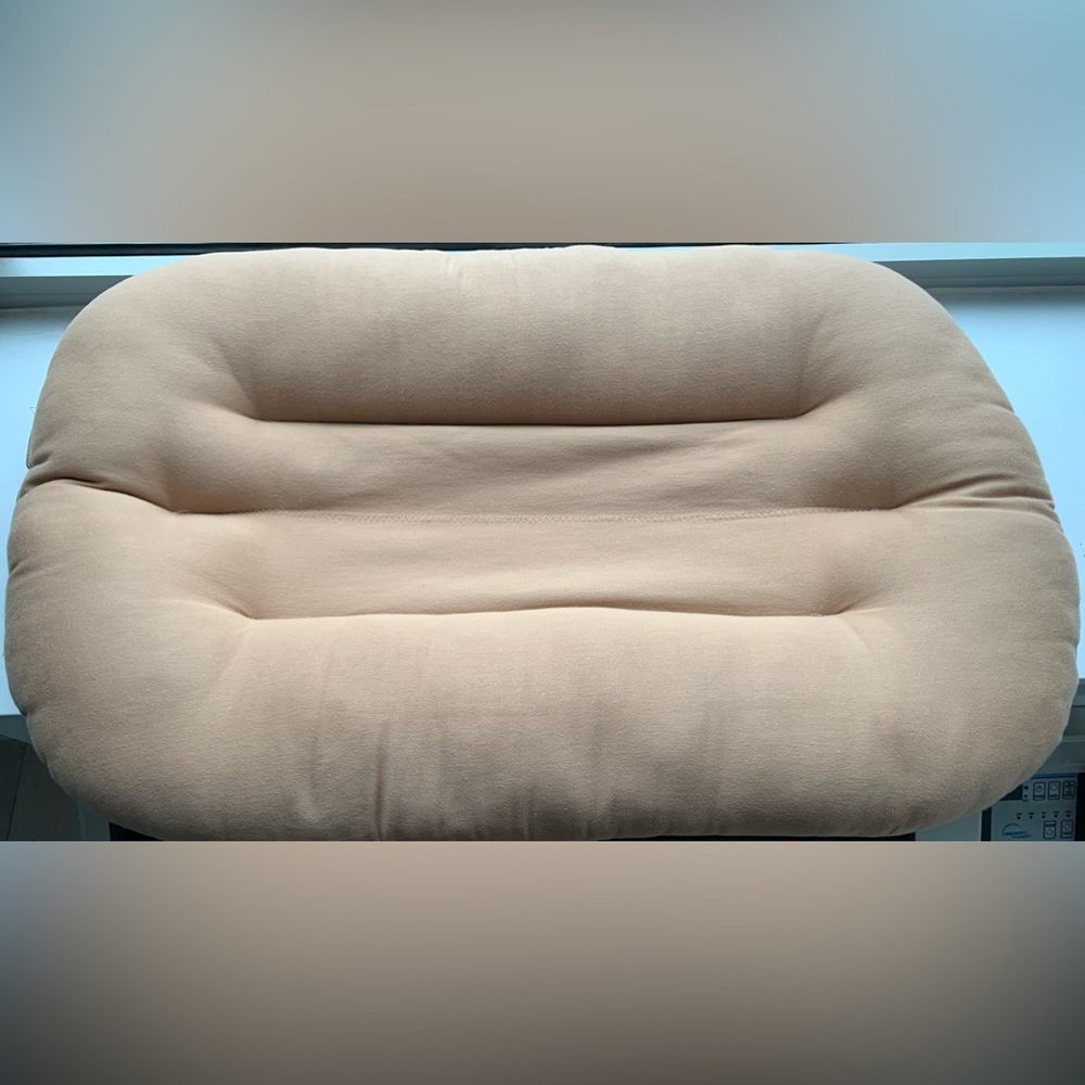 Snuggle me organic in good used condition!